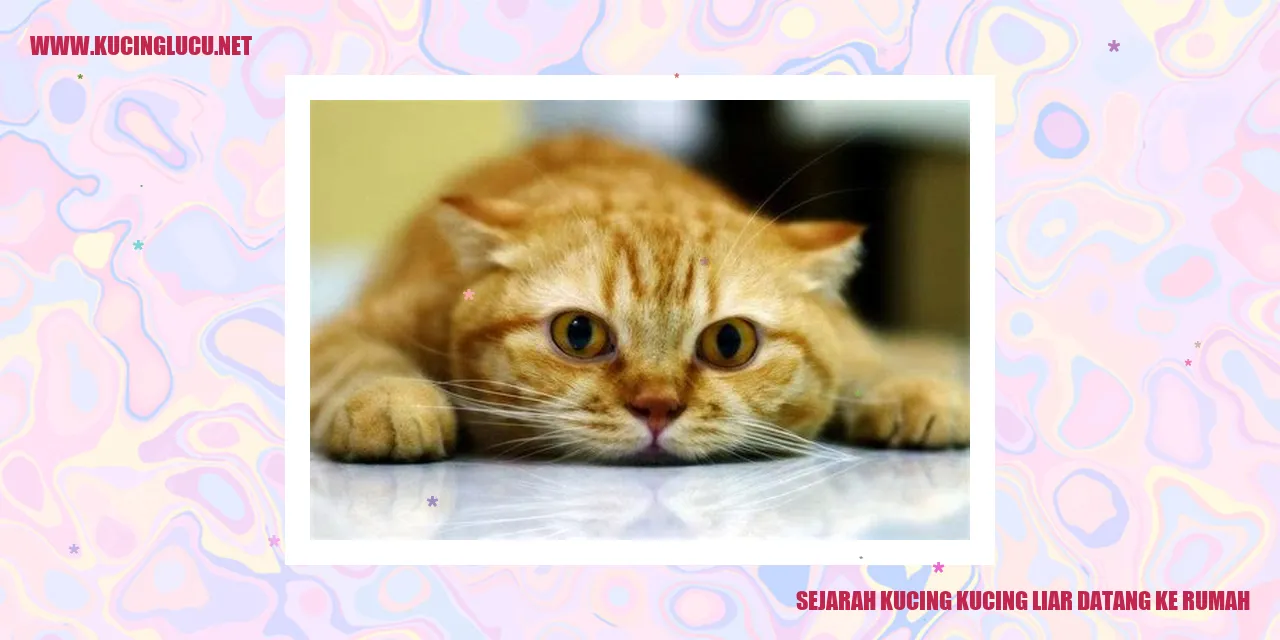 Sejarah Kucing Liar Menjadi Penyayang Rumah