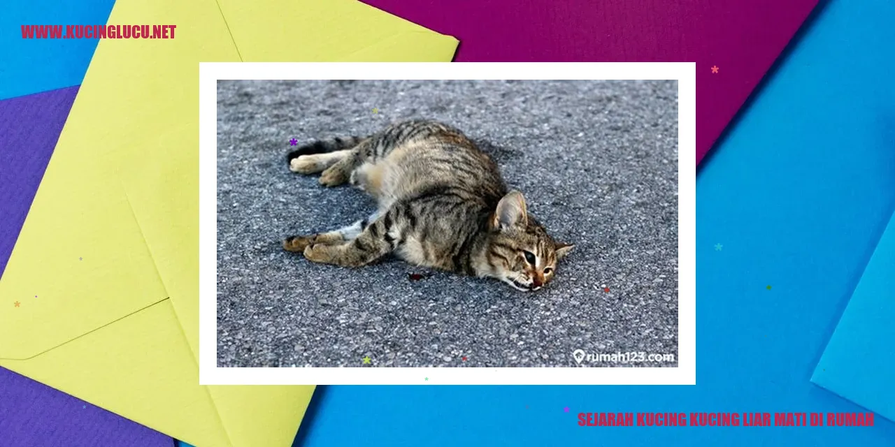 Ilustrasi Kucing