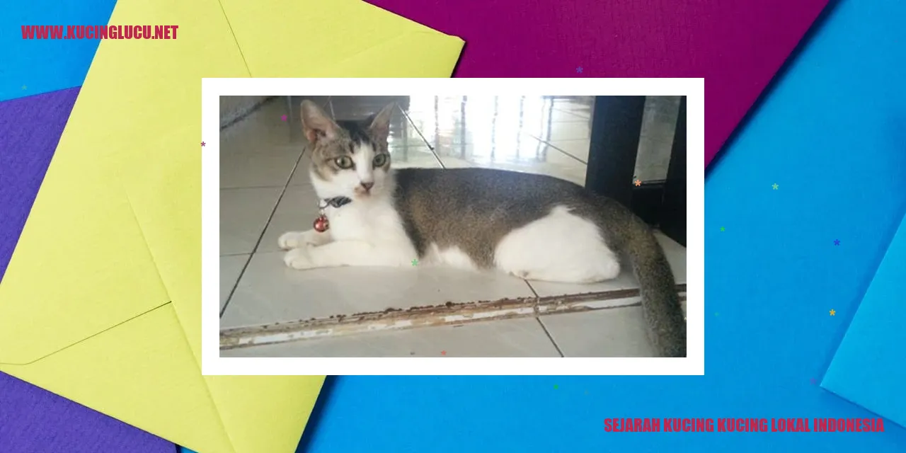 Sejarah Kucing Kucing Lokal Indonesia