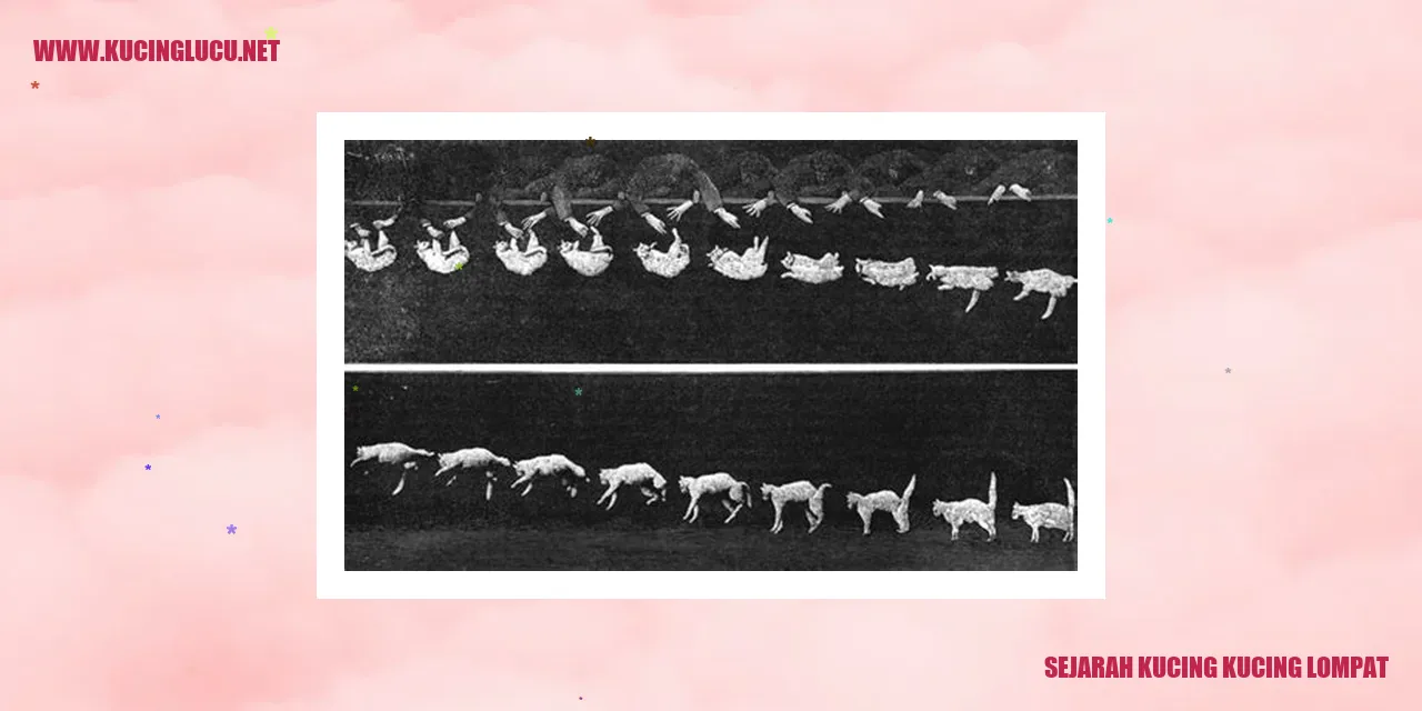Sejarah Kucing Lompat