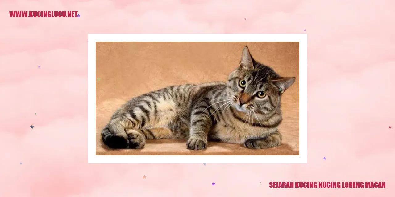 Sejarah Kucing Kucing Loreng Macan: Gambar Kucing Loreng Macan