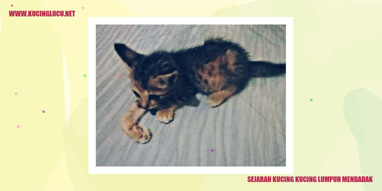 Kucing lumpuh mendadak