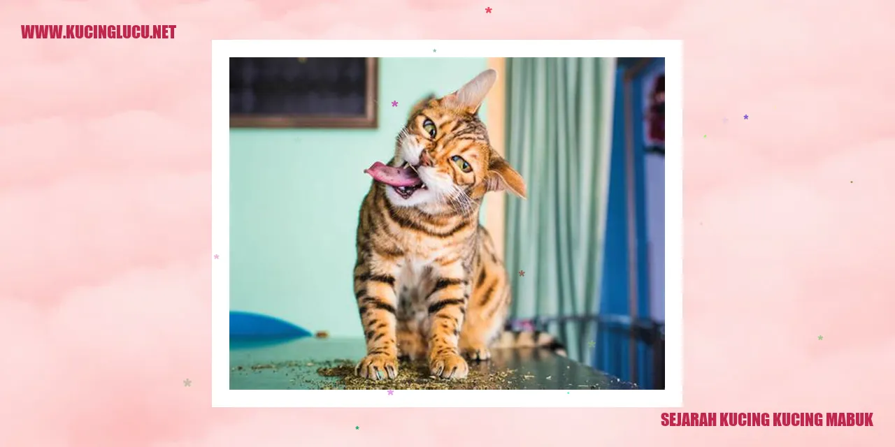 Sejarah Kucing Kucing Mabuk