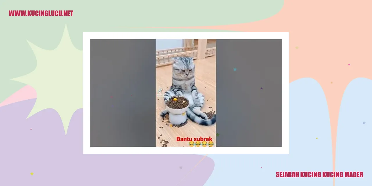 Gambar Kucing Pemalas