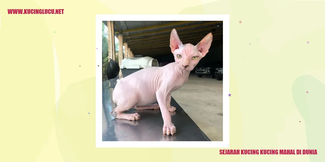 Kucing Mahal di Dunia