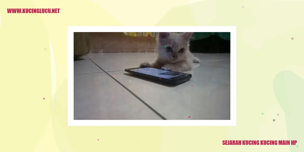 Kucing Main HP