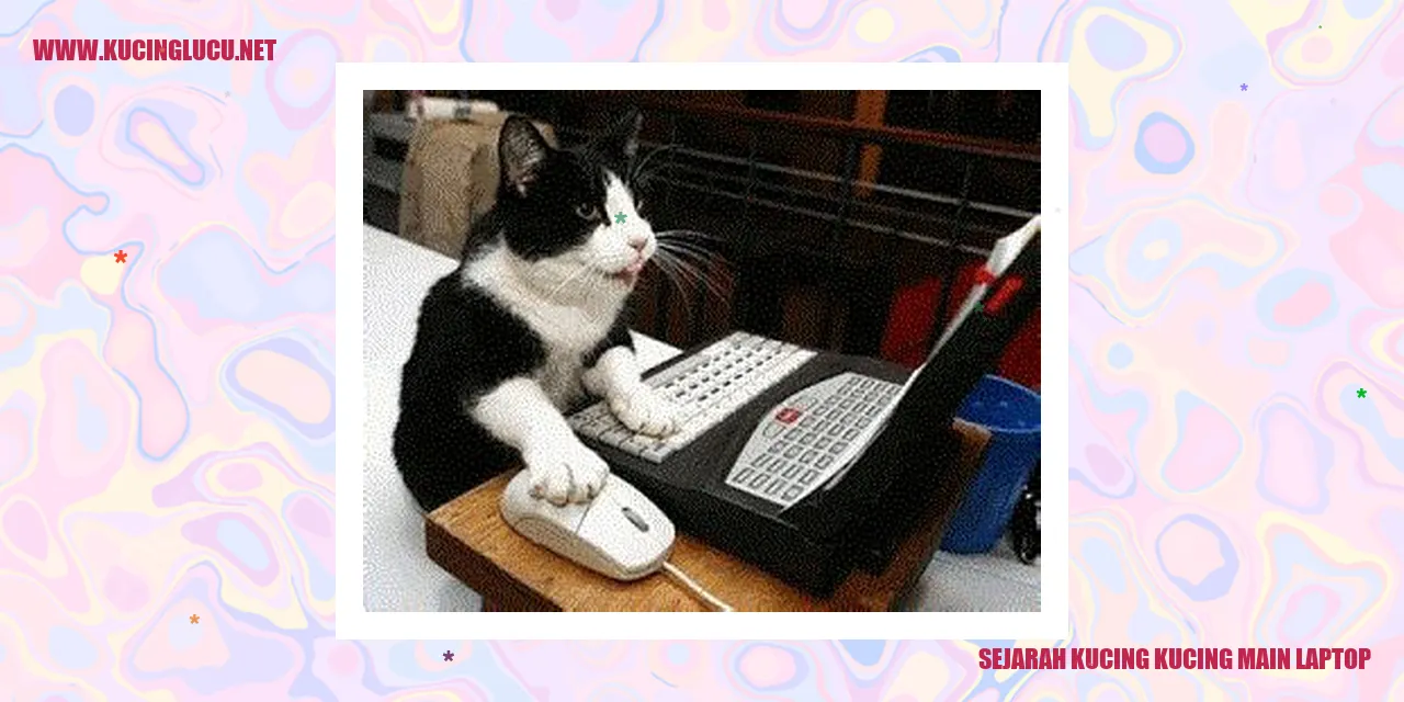 Gambar kucing main laptop