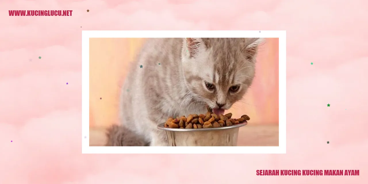 Gambar Kucing Makan Ayam