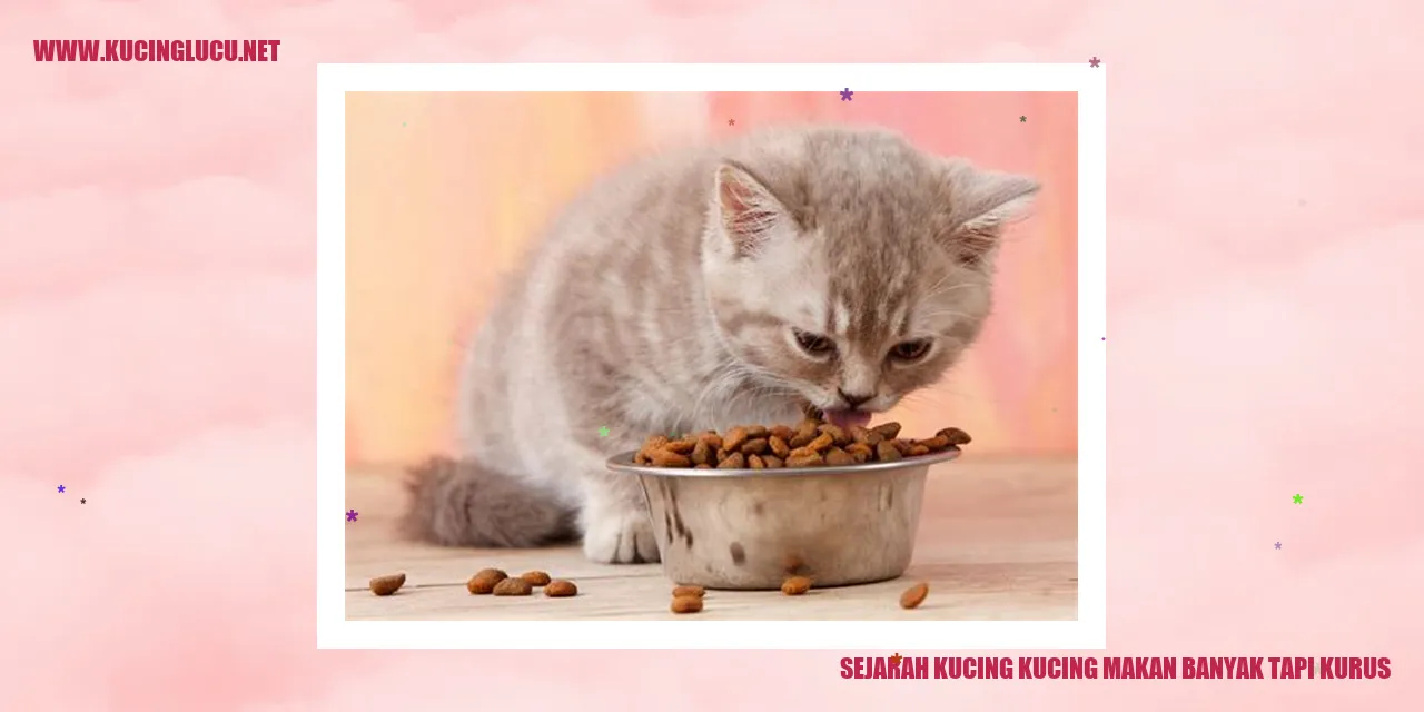 Kucing Makan Banyak tapi Tetap Kurus