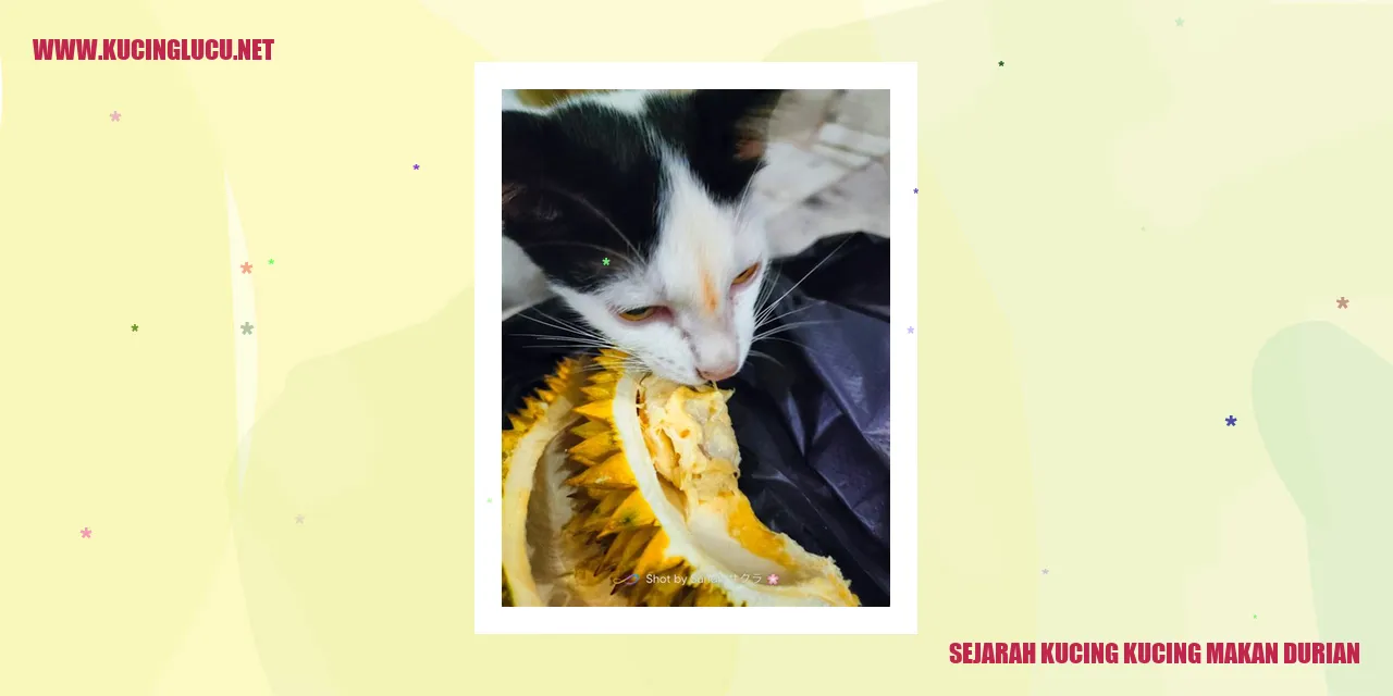 Kucing makan durian