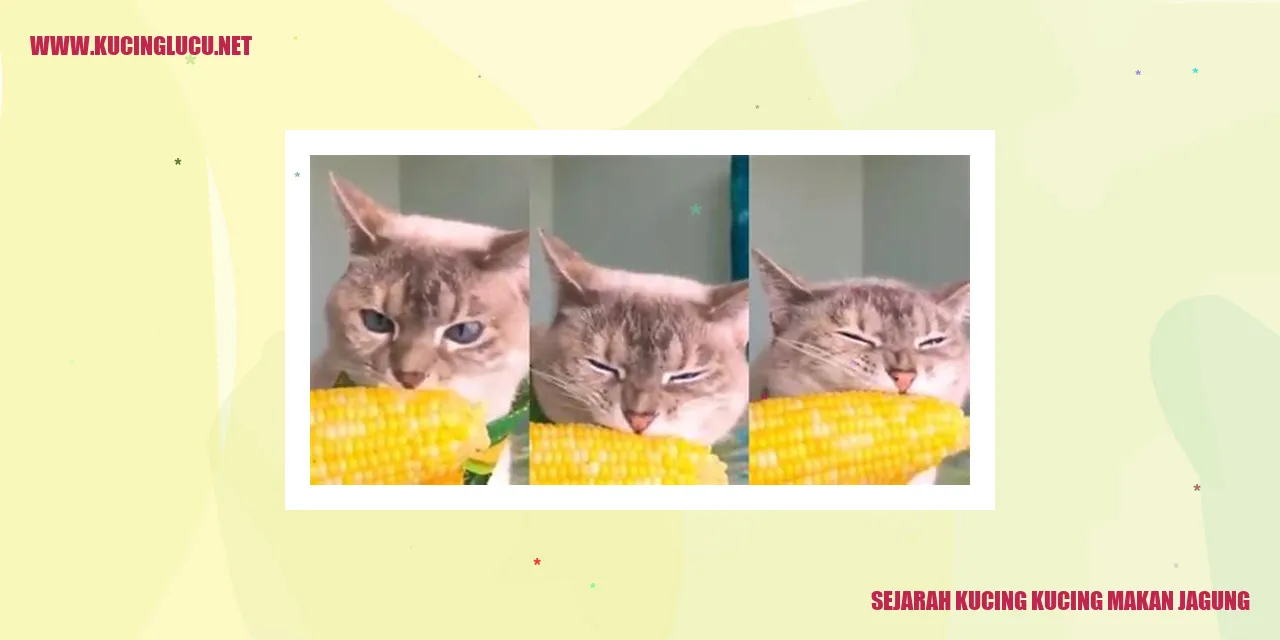 Sejarah Kucing makan Jagung