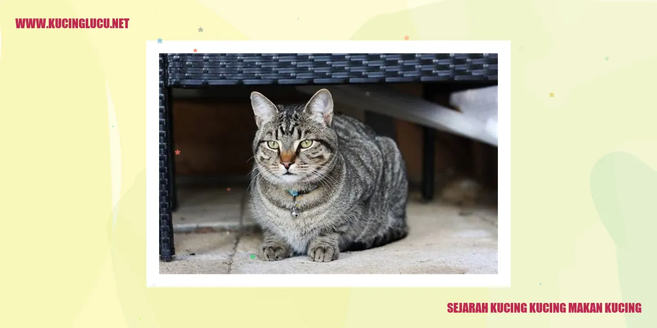 Gambar Fenomena Kucing yang Memangsa Sesama