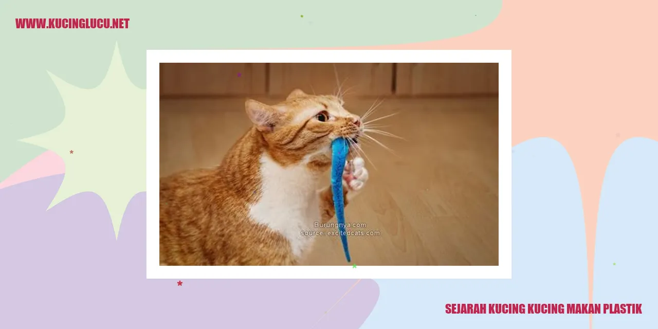 Sejarah Kucing Makan Plastik
