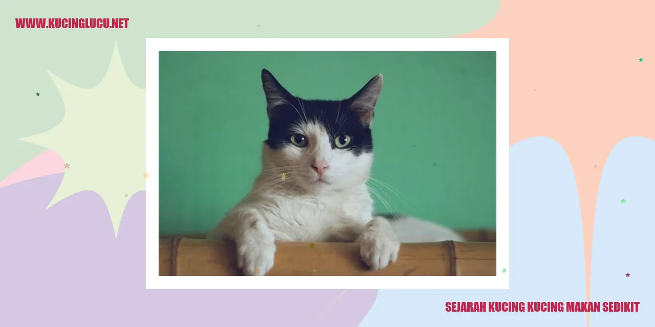 Foto Kucing yang Makan dengan Pelan