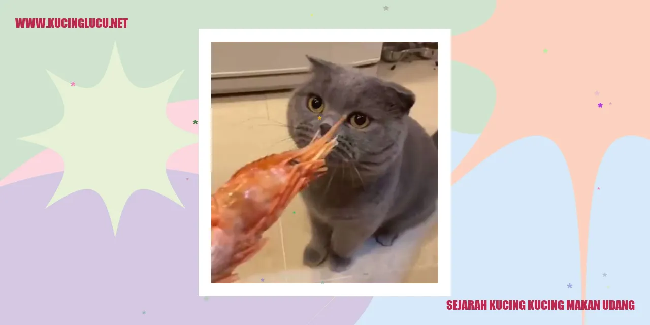 Gambar kucing sedang menikmati udang