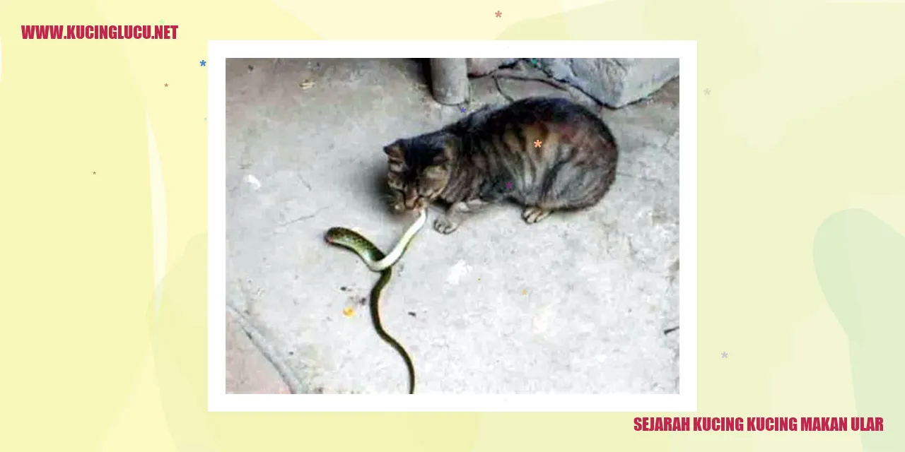 Sejarah Kucing Makan Ular