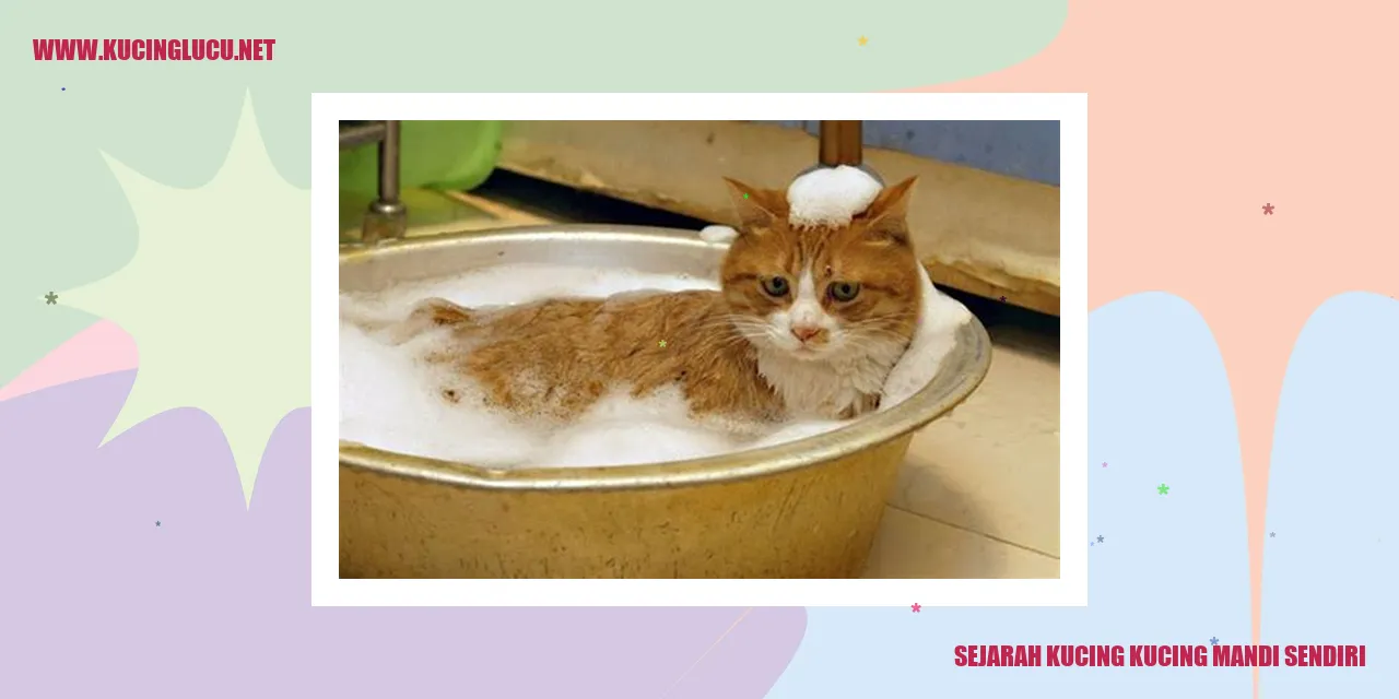 Sejarah Kucing Mencuci Diri