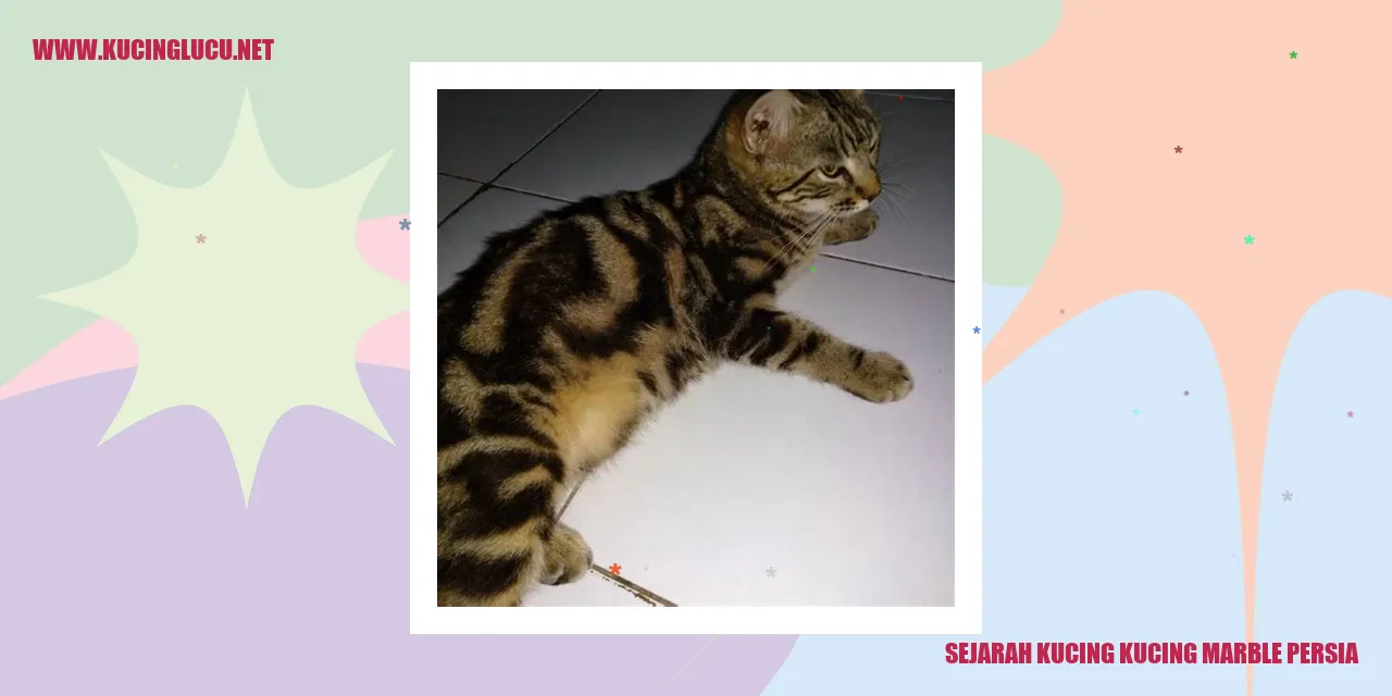Gambar kucing Marble Persia yang Memikat
