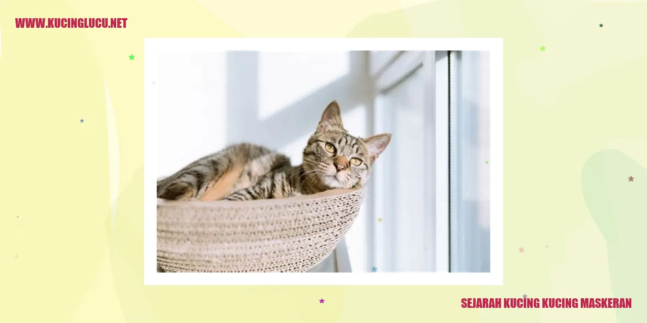 Kucing Kucing Maskeran