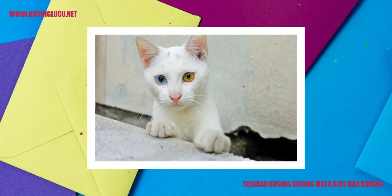 Kucing Mata Biru dan Kuning