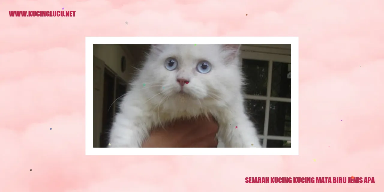 Ilustrasi Kucing Mata Biru