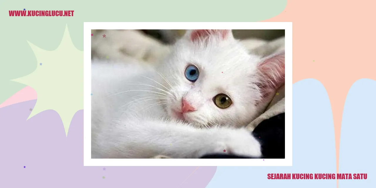 Sejarah Kucing Kucing Mata Satu