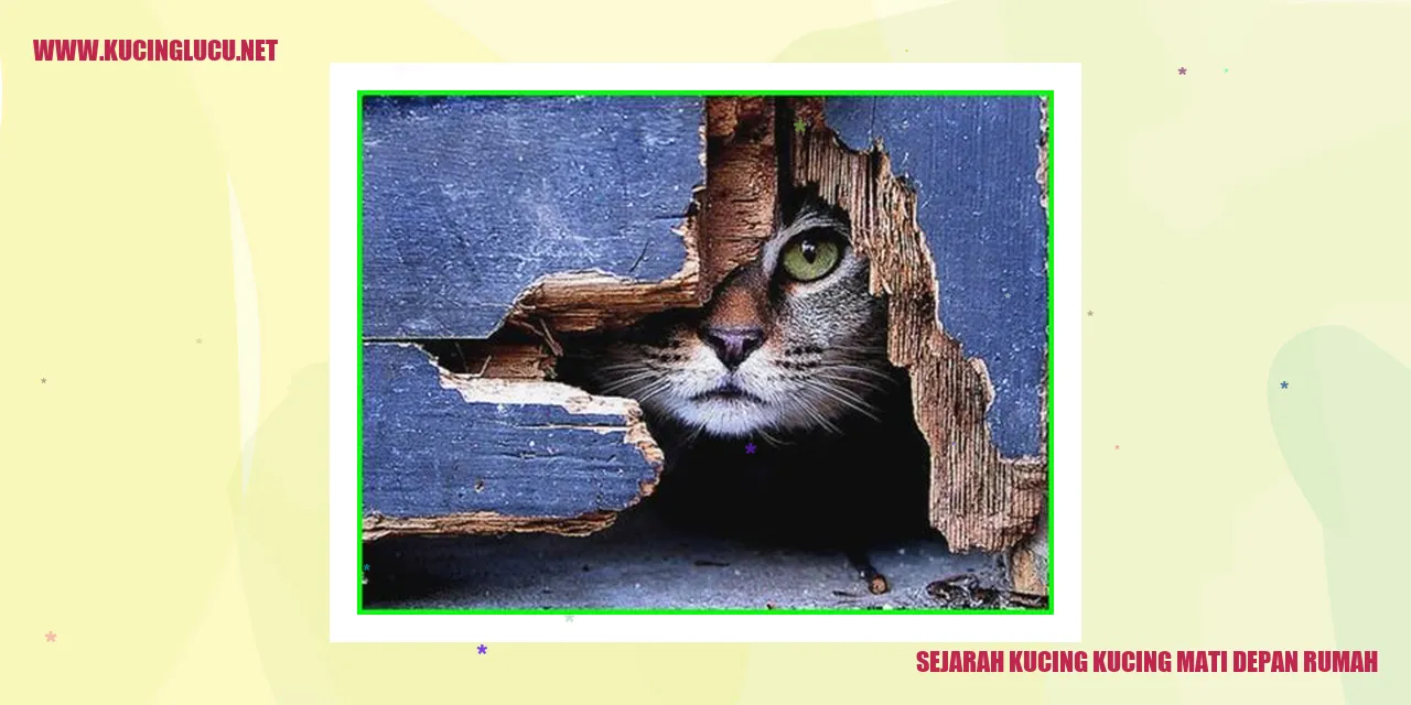 Sejarah Kucing Kucing Mati Depan Rumah