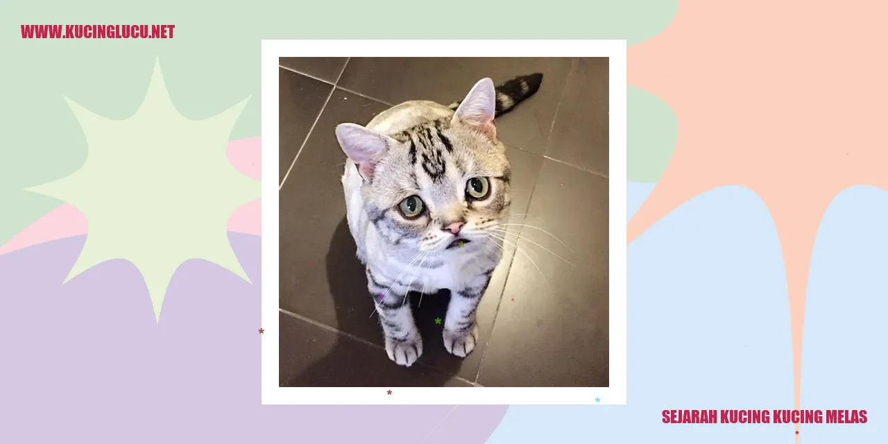 Sejarah Kucing Kucing Malas