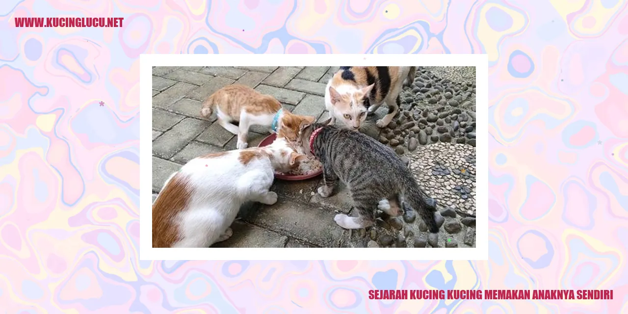 Kucing Memakan Anaknya Sendiri