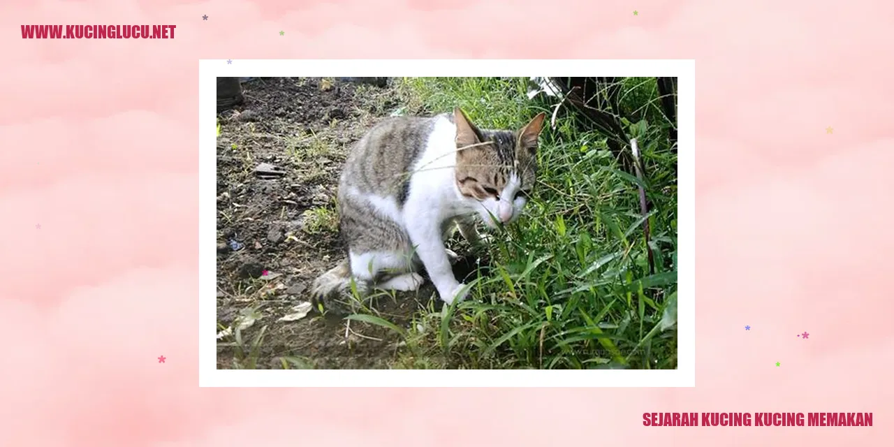 Kucing memakan