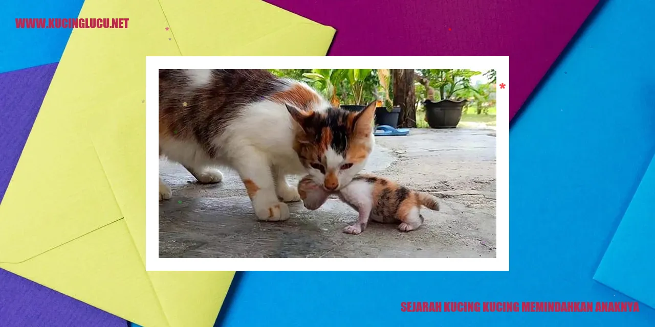 Sejarah Kucing kucing memindahkan anaknya