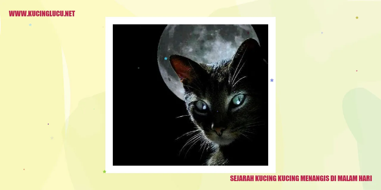 Ilustrasi Kucing Menangis di Malam Hari