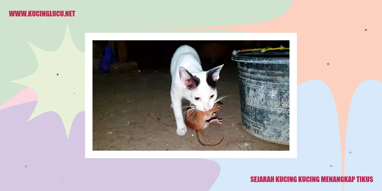Kucing menangkap tikus