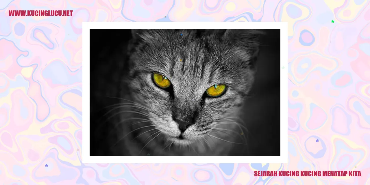 Sejarah Kucing Kucing Menatap Kita