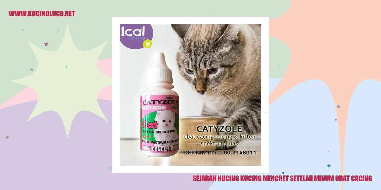 Gambar kucing yang menggemaskan