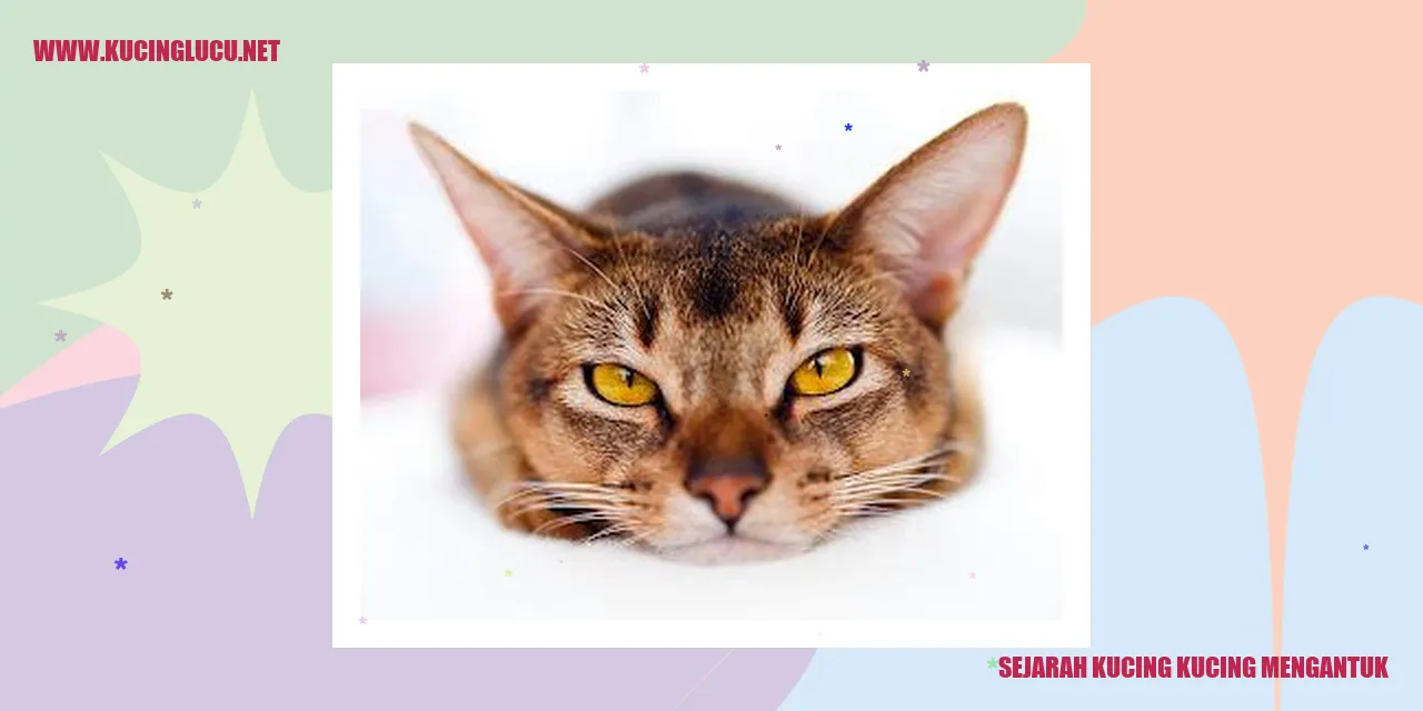 Sejarah Kucing Kucing Mengantuk