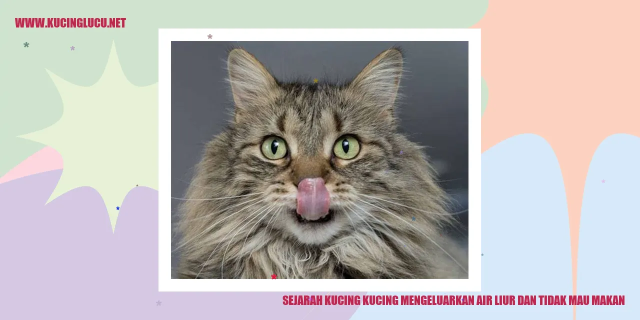 Gambar Kucing