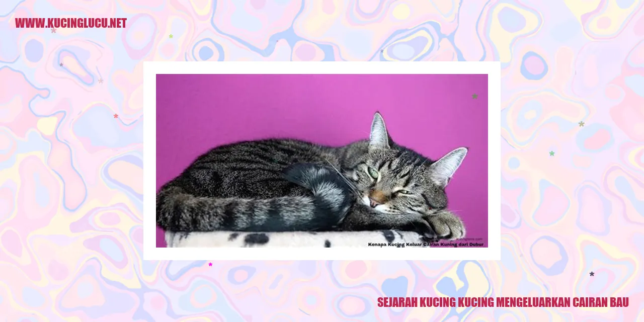Sejarah Kucing Mengeluarkan Cairan Bau