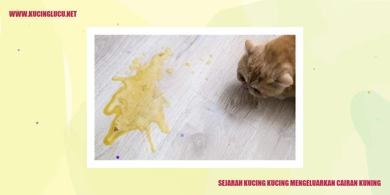 Kucing Mengeluarkan Cairan Kuning