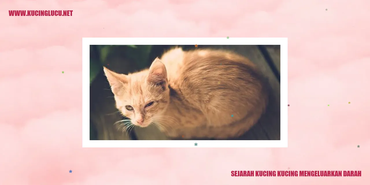 Ilustrasi Sejarah Kucing Mengeluarkan Darah