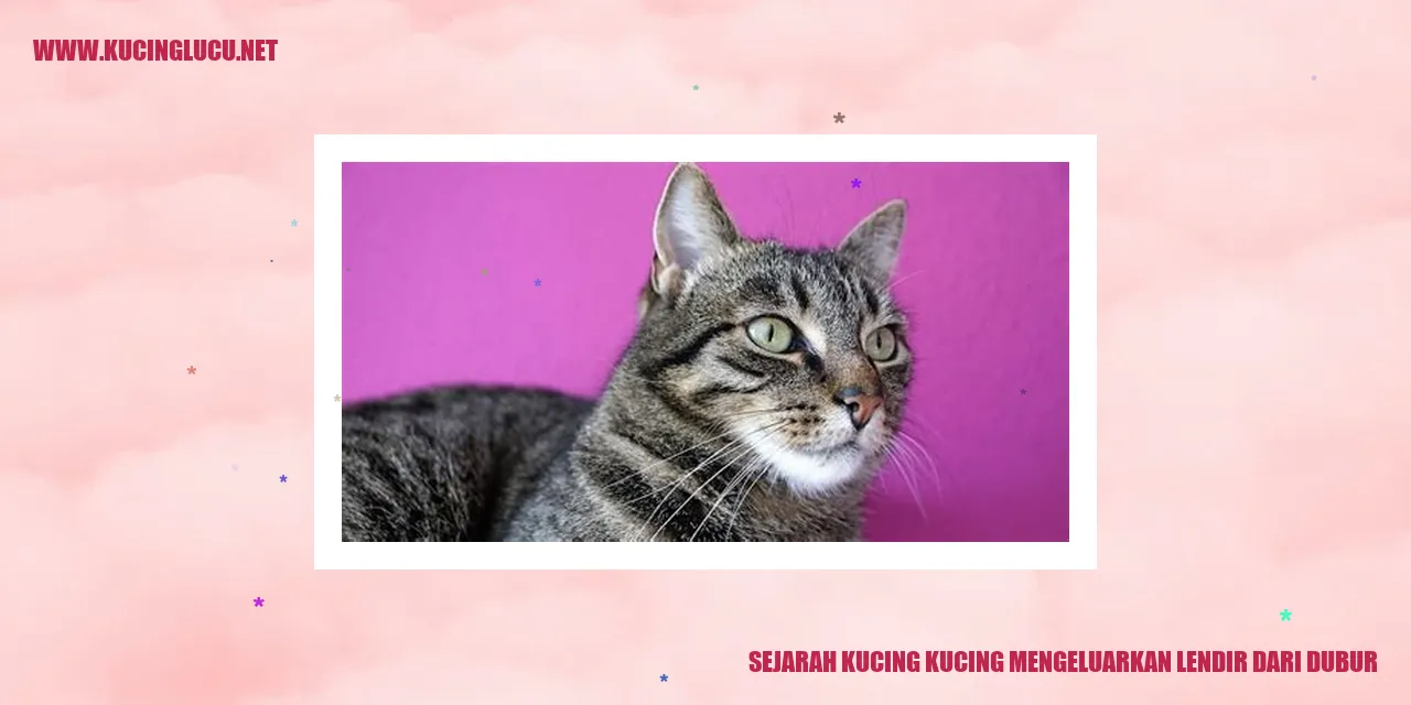Kucing mengeluarkan lendir dari dubur