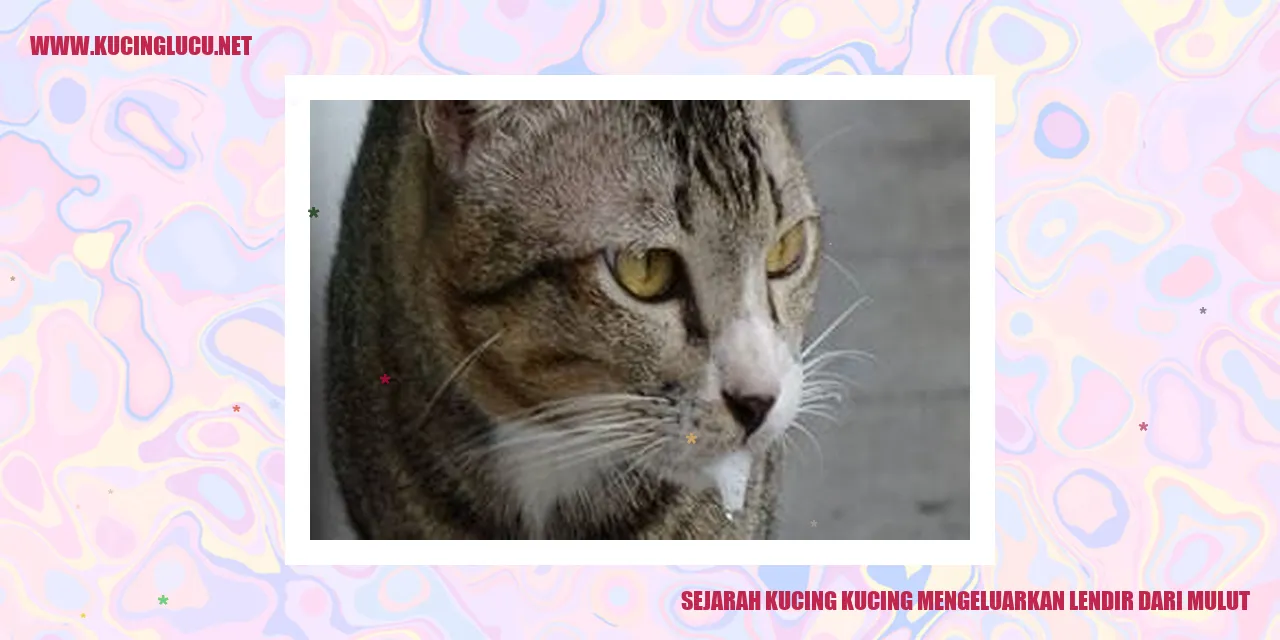 Ilustrasi Kucing Menggumam