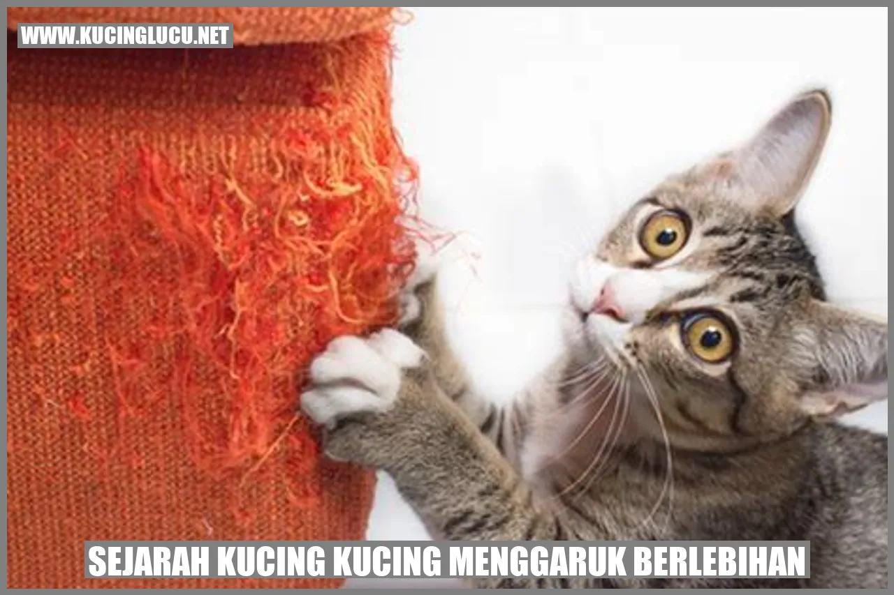 Kucing Menggaruk Berlebihan
