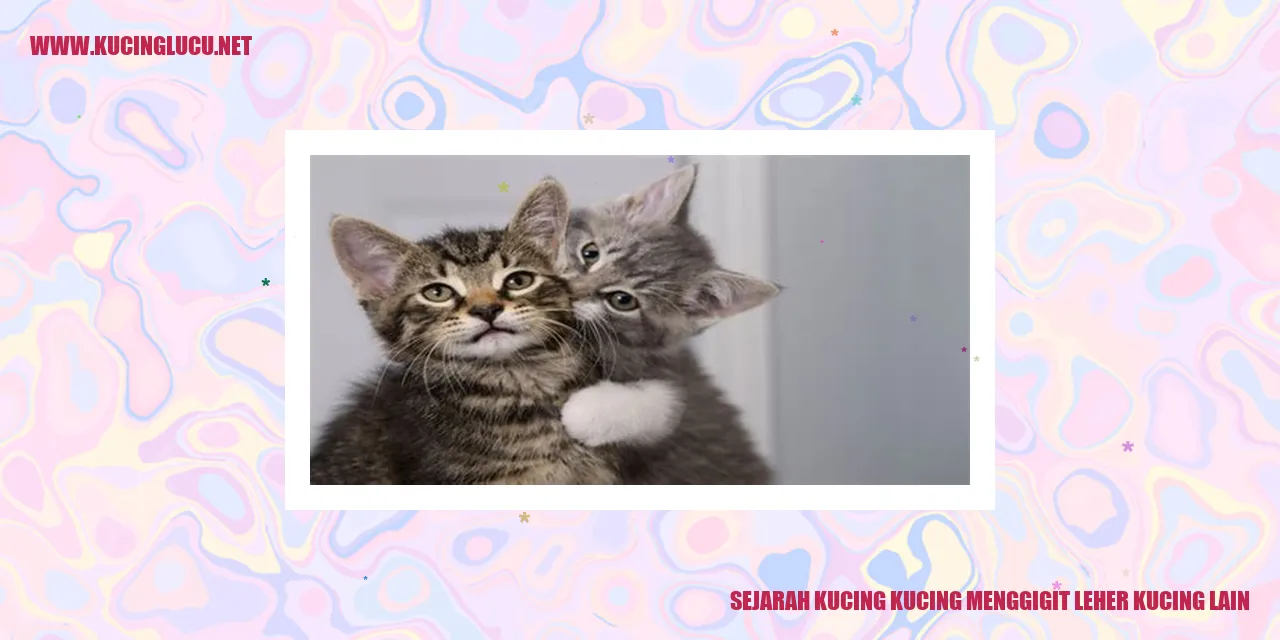 Ilustrasi Kucing Menggigit Leher Kucing