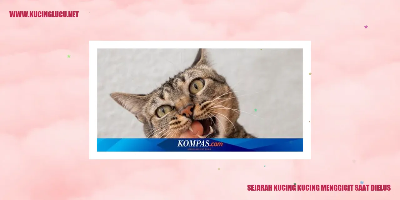 Kucing Menggigit saat Dielus