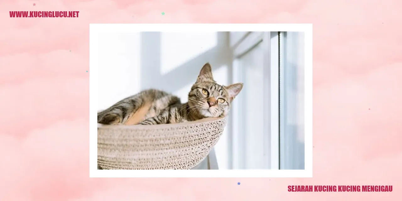 Gambar mengigau kucing