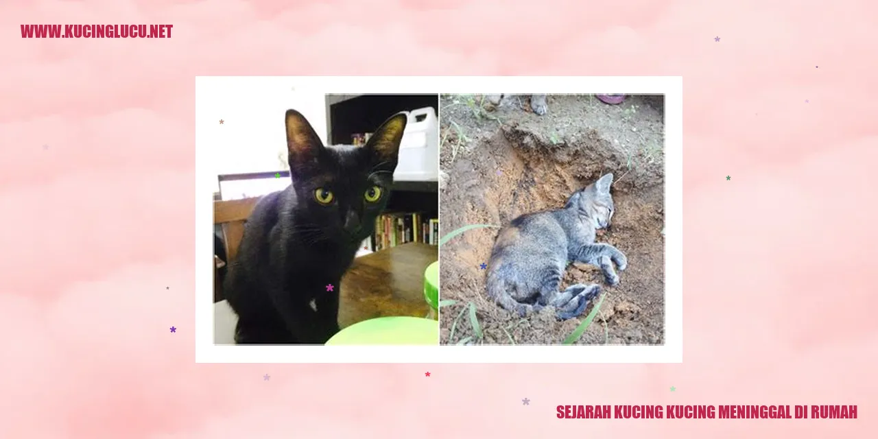 Sejarah Kucing Kucing Meninggal di Rumah