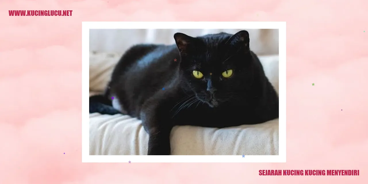 Sejarah Kucing yang Menyendiri