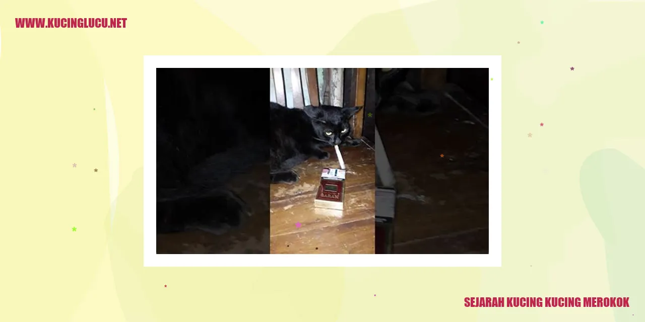 Gambar Kucing-kucing Merokok