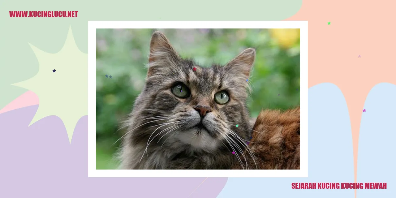 Sejarah Kucing-kucing Mewah